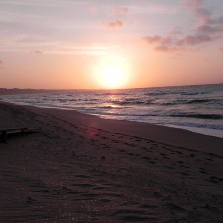 Camping Golfo Dell'Asinara ปลาตาโมนา ภายนอก รูปภาพ