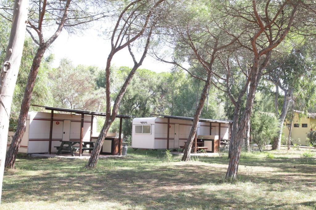 Camping Golfo Dell'Asinara ปลาตาโมนา ห้อง รูปภาพ